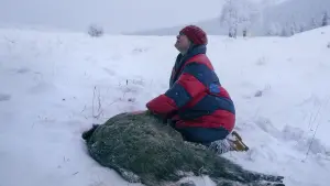 Задник к фильму "След зверя" #491807