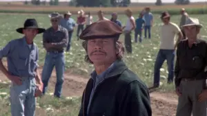 Задник к фильму "Мистер Маджестик" #415286