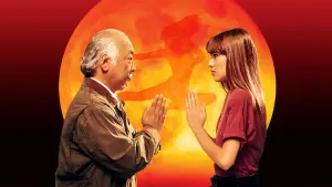 Задник к фильму "Еще один малыш-каратист" #336866