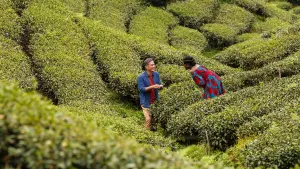 Задник к фильму "" #366362