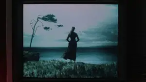 Задник к фильму "Звонок" #636369