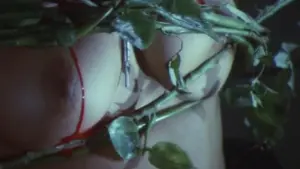 Задник к фильму "Школа священного зверя" #446467