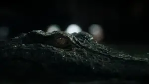 Задник к фильму "Капкан" #604258