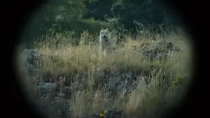 Задник к фильму "" #716750