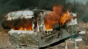 Задник к фильму "Розовые фламинго" #296572