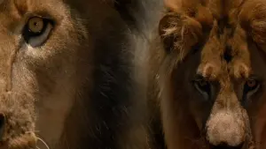 Задник к фильму "Призрак и Тьма" #265590