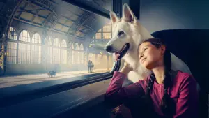 Задник к фильму "" #453899