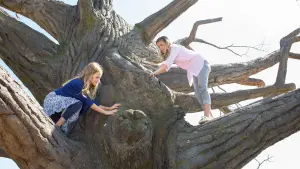 Задник к фильму "Чудеса с небес" #489313