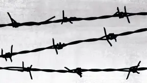 Задник к фильму "Ночь и туман" #440435