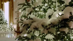 Задник к фильму "Красный, белый и королевский синий" #576521