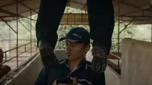 Задник к фильму "" #472883