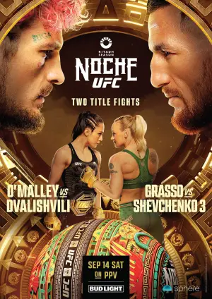 Постер к фильму "UFC 306: O