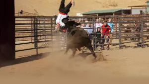 Задник к фильму "Чудаки навсегда" #484676