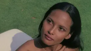 Задник к фильму "Эммануэль в Америке" #423505