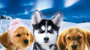 Задник к фильму "Снежная пятёрка" #426611