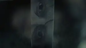 Задник к фильму "" #508824