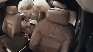 Задник к фильму "Западня" #586732