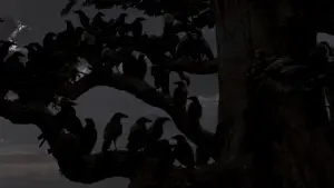 Задник к фильму "Птицы" #677196