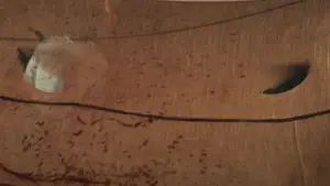 Задник к фильму "Они называют его ОГ" #621584