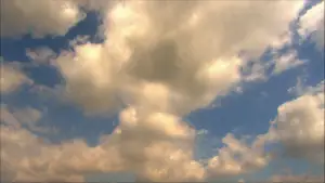 Задник к фильму "Девочки-камикадзе" #876842