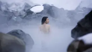 Задник к фильму "Шелк" #466747