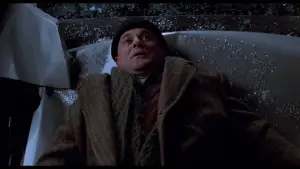 Задник к фильму "Один дома 2: Затерянный в Нью-Йорке" #567268