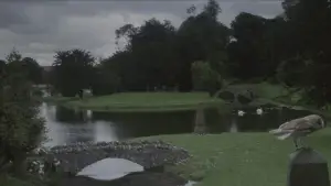 Задник к фильму "Лабиринт" #659071