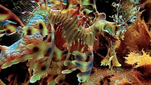 Задник к фильму "Голубая бездна" #481992