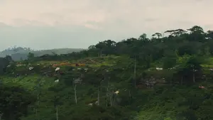 Задник к фильму "Безродные звери" #205730