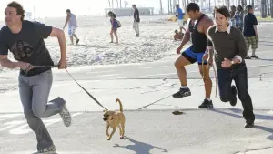 Задник к фильму "Люблю тебя, чувак" #279585