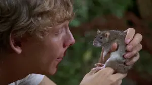 Задник к фильму "Уиллард" #446548