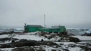 Задник к фильму "Антарктида" #670577