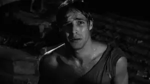 Задник к фильму "Трамвай «Желание»" #726935