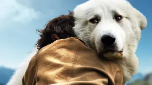 Задник к фильму "Белль и Себастьян: Приключения продолжаются" #251775