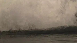 Задник к фильму "Моби Дик" #725696