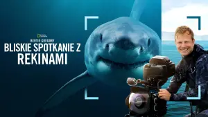 Задник к фильму "Лицом к лицу с акулами с Берти Грегори" #793026