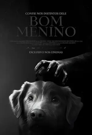 Постер к фильму "Хороший мальчик" #517436