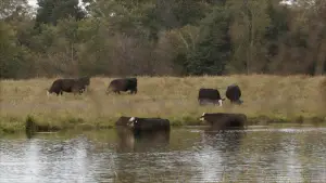 Задник к фильму "" #544920