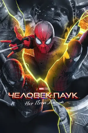 Постер к фильму "Человек-паук: Нет пути домой" #3533