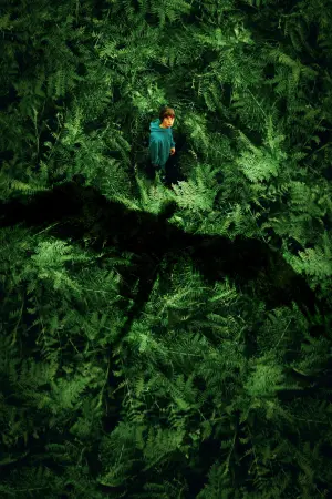 Постер к фильму "Королевство зверей" #442369