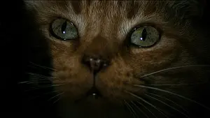 Задник к фильму "Чужой" #177172