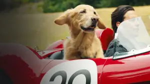 Задник к фильму "Невероятный мир глазами Энцо" #175811