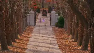 Задник к фильму "Величайший шоумен" #580195