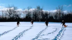 Задник к фильму "Простой план" #678041