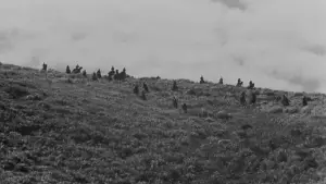 Задник к фильму "Семь Самураев" #605733