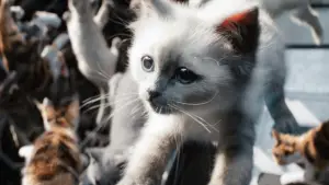 Задник к фильму "Капитан Марвел 2" #605027