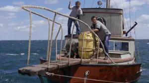 Задник к фильму "Челюсти" #520944