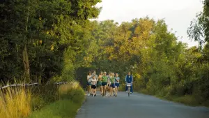 Задник к фильму "Спортивная ходьба" #494151