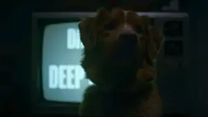 Задник к фильму "Хороший мальчик" #517199