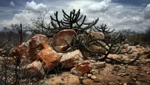 Задник к фильму "" #733343